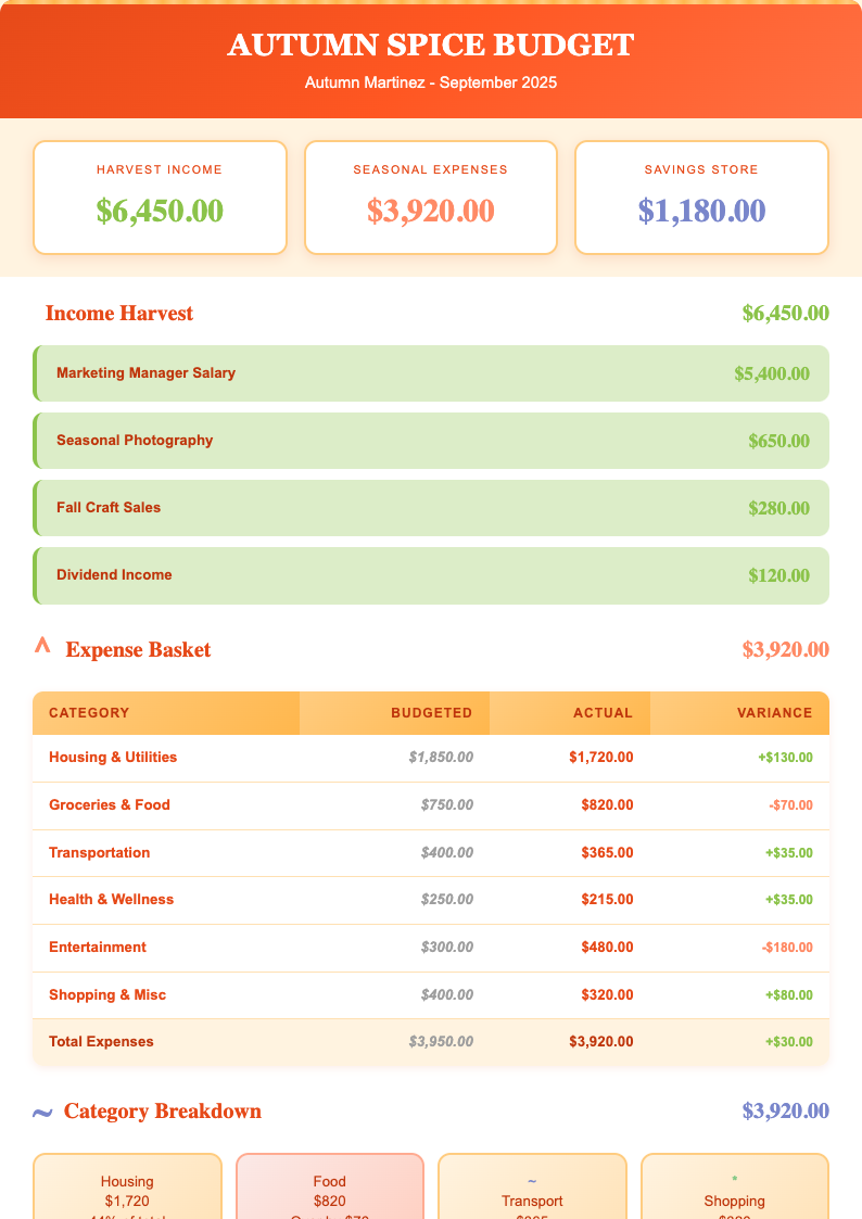Budget Personal Template preview