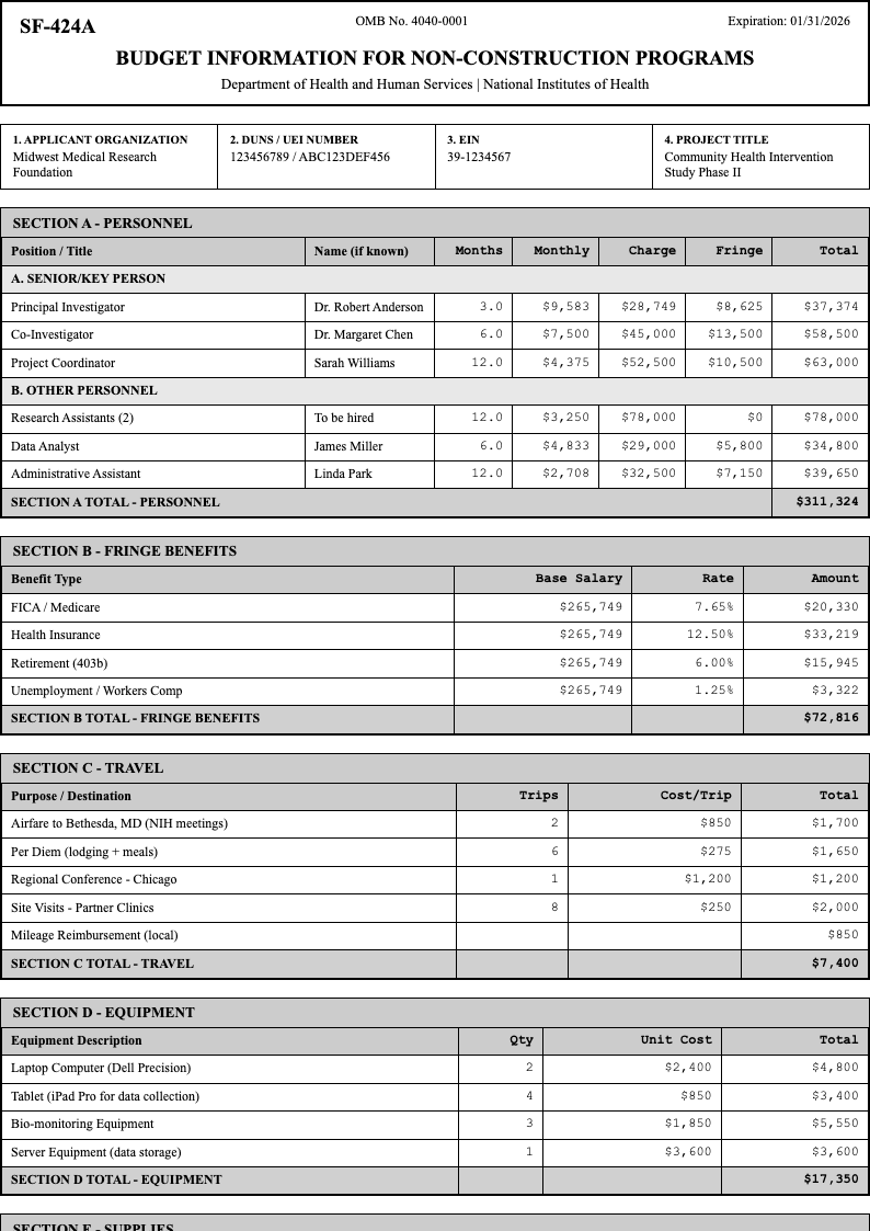 Government standard grant budget template