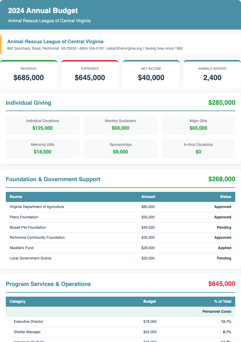 Nonprofit Budget Template preview