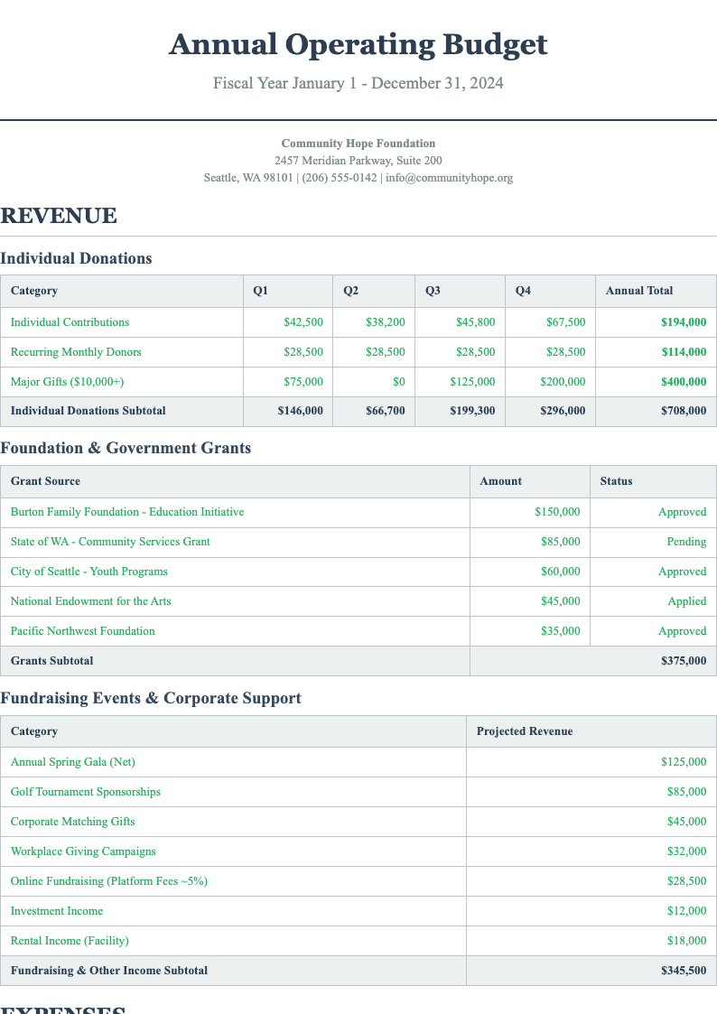 Classic professional nonprofit budget