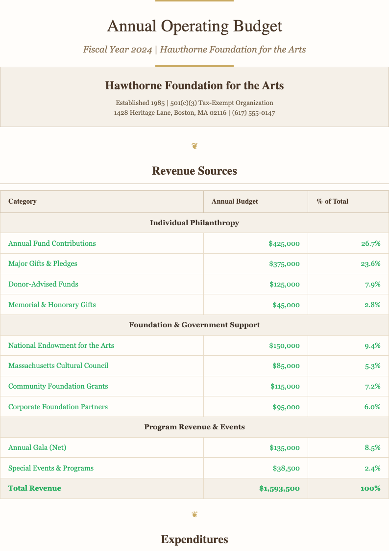 Elegant sophisticated nonprofit budget