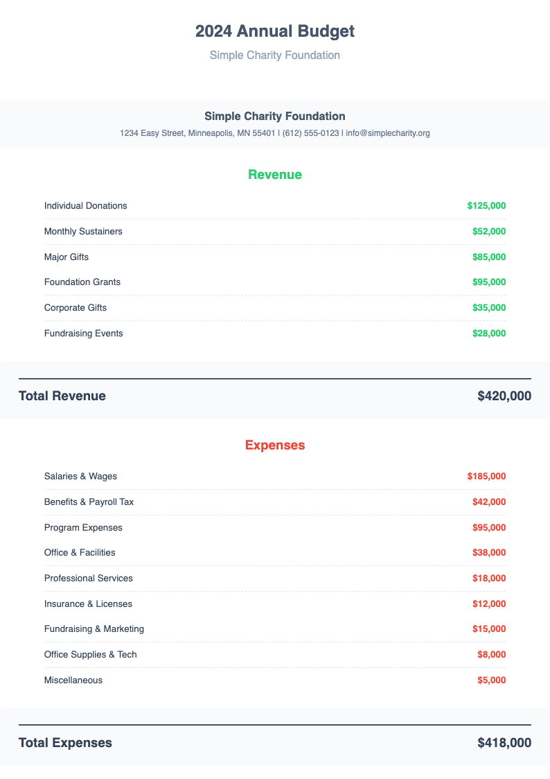 Simple clean nonprofit budget