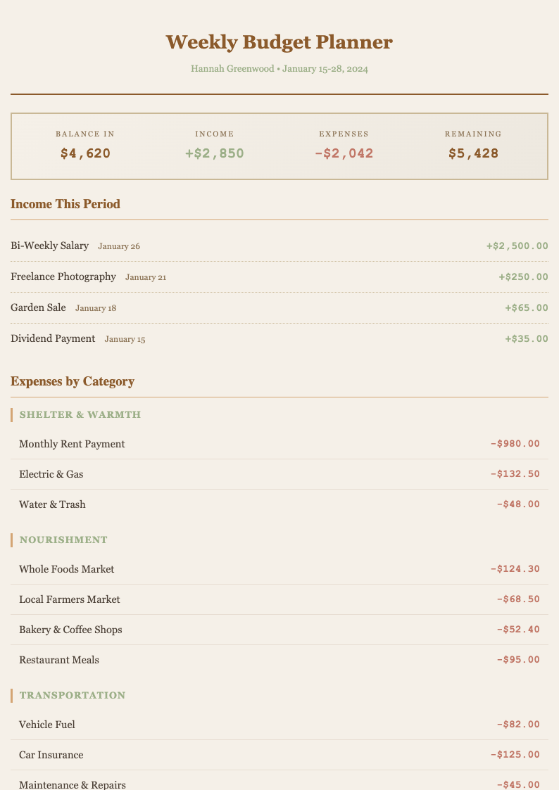 Earth tone natural weekly budget