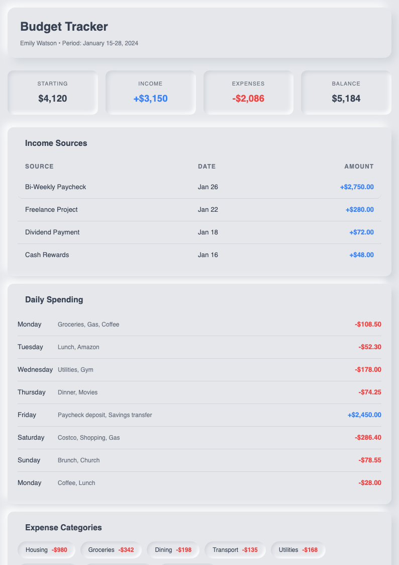 Neomorphism weekly budget