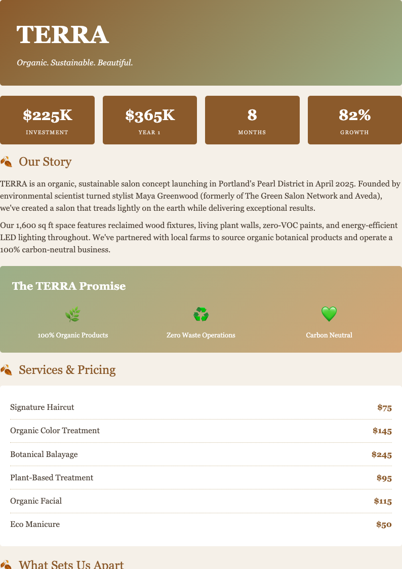 Earth tone salon business plan